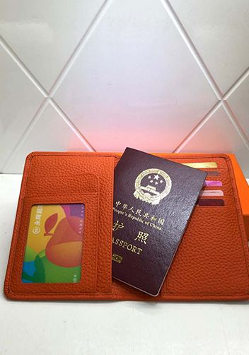 Tiger LyLy Brigitte Passport Cover Cowhide Leather Orange