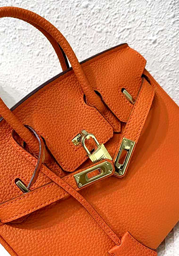 Tiger LyLy Brigitte Bag Leather With Gold Hardware Orange 12