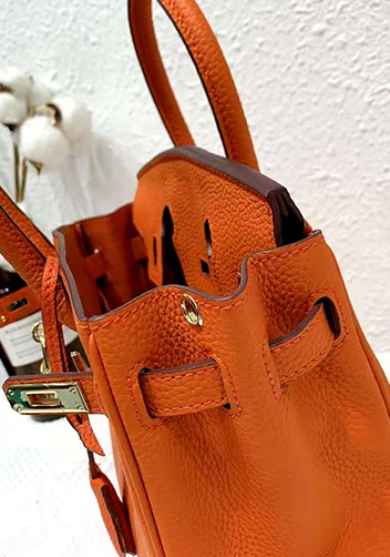 Tiger LyLy Brigitte Bag Leather With Gold Hardware Orange 12