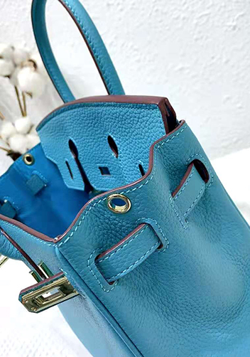 Tiger LyLy Brigitte Bag Leather With Gold Hardware Lake Blue 12