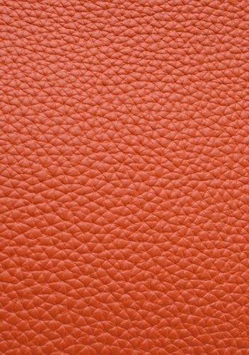Tiger LyLy Brigitte Medium Cowhide Leather Orange Gold Hardware