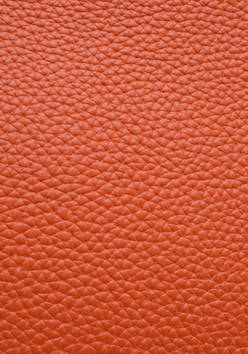 Tiger LyLy Brigitte Small Cowhide Leather Orange Gold Hardware