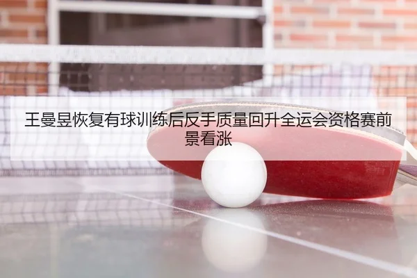 王曼昱恢复有球训练后反手质量回升全运会资格赛前景看涨